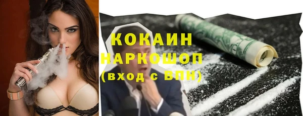 винт Анива