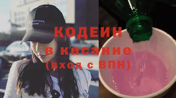 сатива Аша