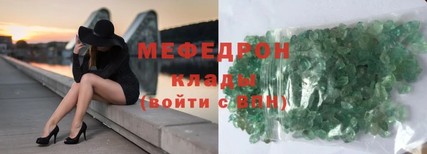 сатива Аша