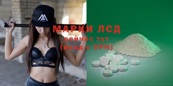 винт Анива