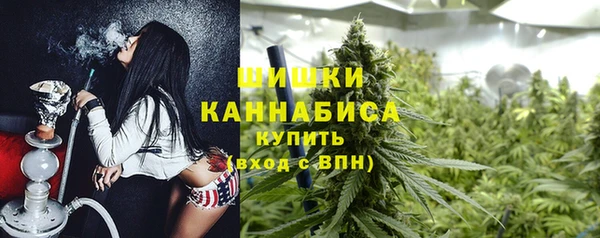 сатива Аша