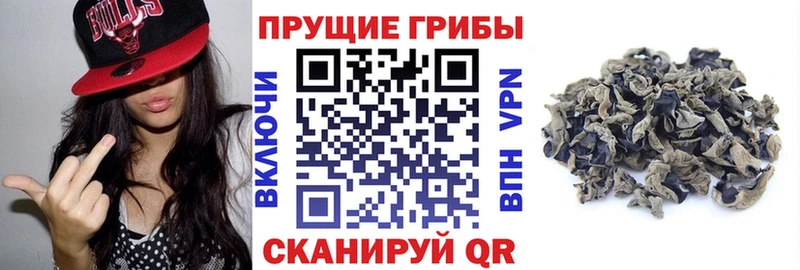 Псилоцибиновые грибы мухоморы  хочу наркоту  Калининск 